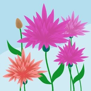 Meet your Posher, Stacie